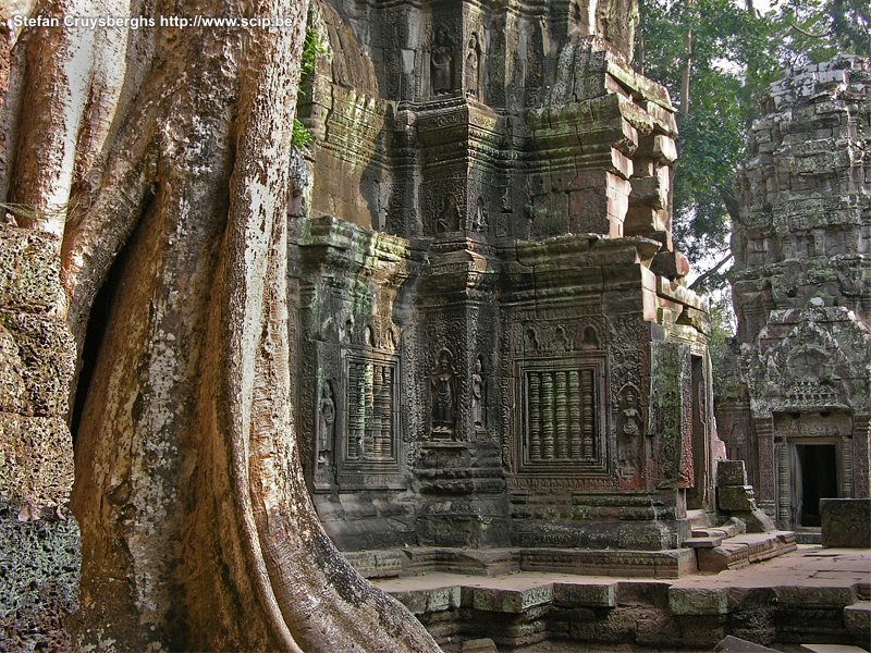 Angkor - Ta Phrom  Stefan Cruysberghs